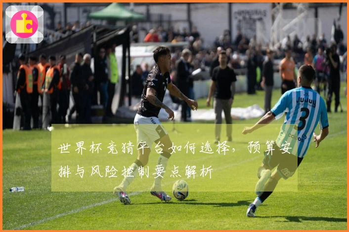 世界杯竞猜平台如何选择，预算安排与风险控制要点解析