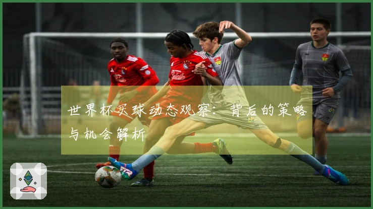 世界杯买球动态观察：背后的策略与机会解析