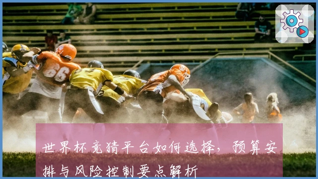 世界杯竞猜平台如何选择，预算安排与风险控制要点解析