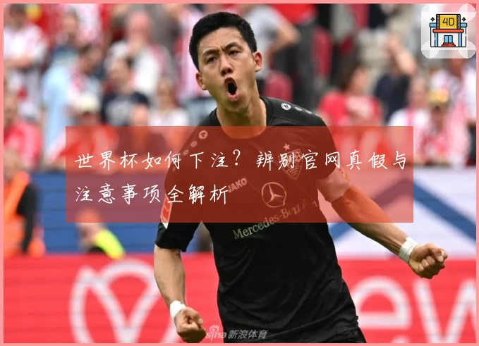 世界杯如何下注？辨别官网真假与注意事项全解析