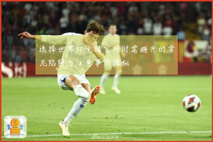 选择世界杯竞猜官网时需避开的常见陷阱与注意事项揭秘